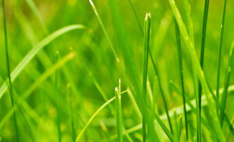 自动化部署的电话闹钟